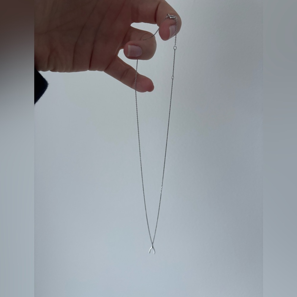 Elegant Silver Wishbone Necklace
